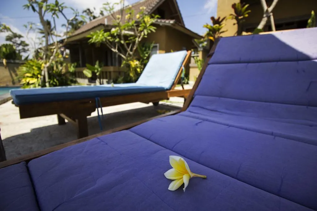 Ujung Ubud Guesthouse Indonesia