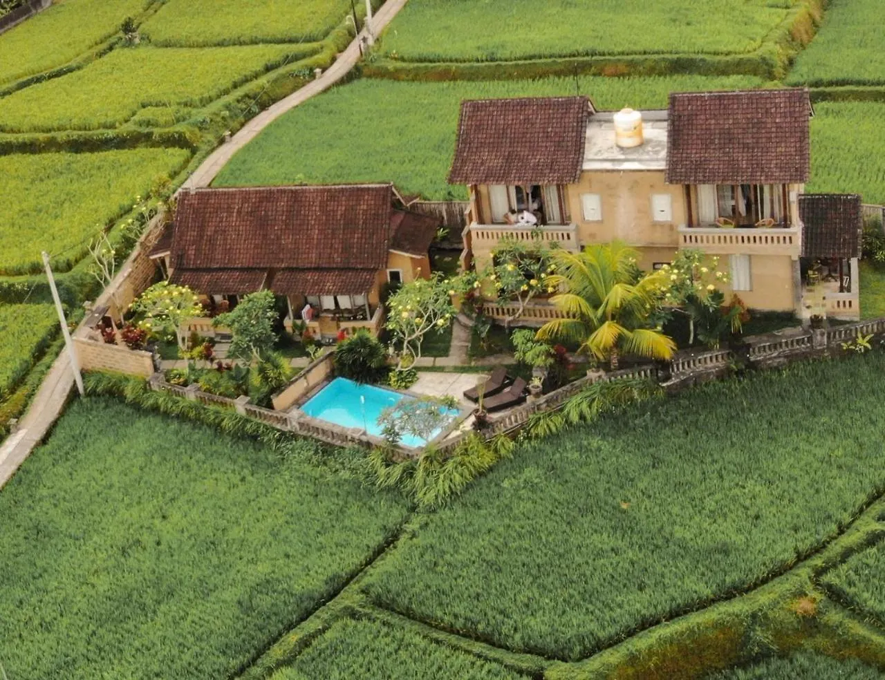Ujung Ubud Guesthouse Indonesia