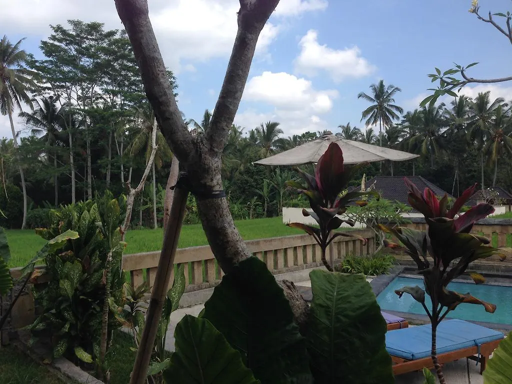 Ujung Ubud Guesthouse 2*,